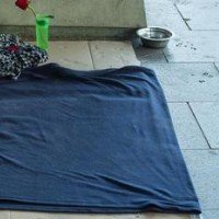 17-0: Diagnòstic sobre l'actual crisi des de les entitats socials