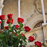 Diada de Sant Jordi a les llars i al Palau de la Generalitat