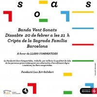 Concert benèfic a favor de les llars compartides