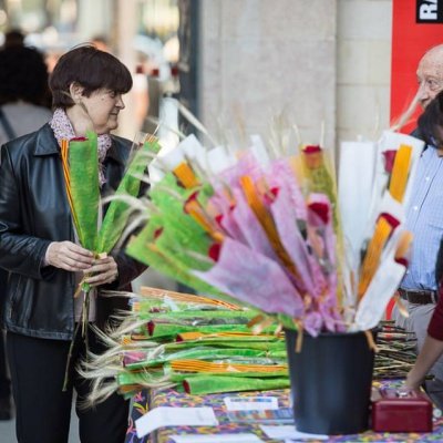 Sant Jordi 2014, amb llibres, roses solidàries, cava i ràdio en directe