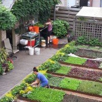El cohabitatge rural com a oportunitat per viure, és possible!