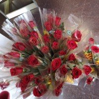 ¡Volvemos a celebrar Sant Jordi en Llars Compartides!